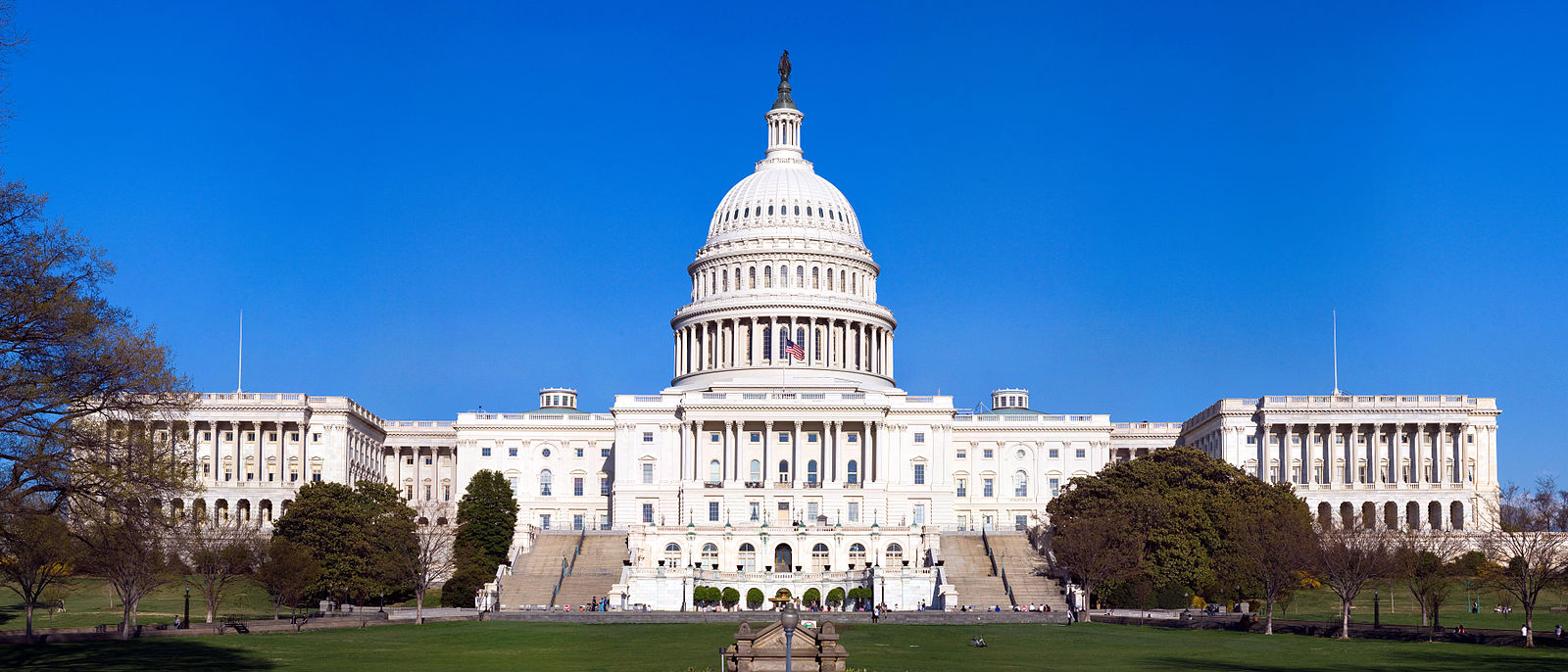 Who Owns Congress?