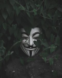 Image: Guy Fawkes mask in shrubbery
