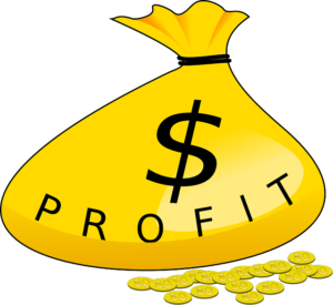 Graphic of some coins around a money bag labelled with a dollar sign and the word PROFIT.